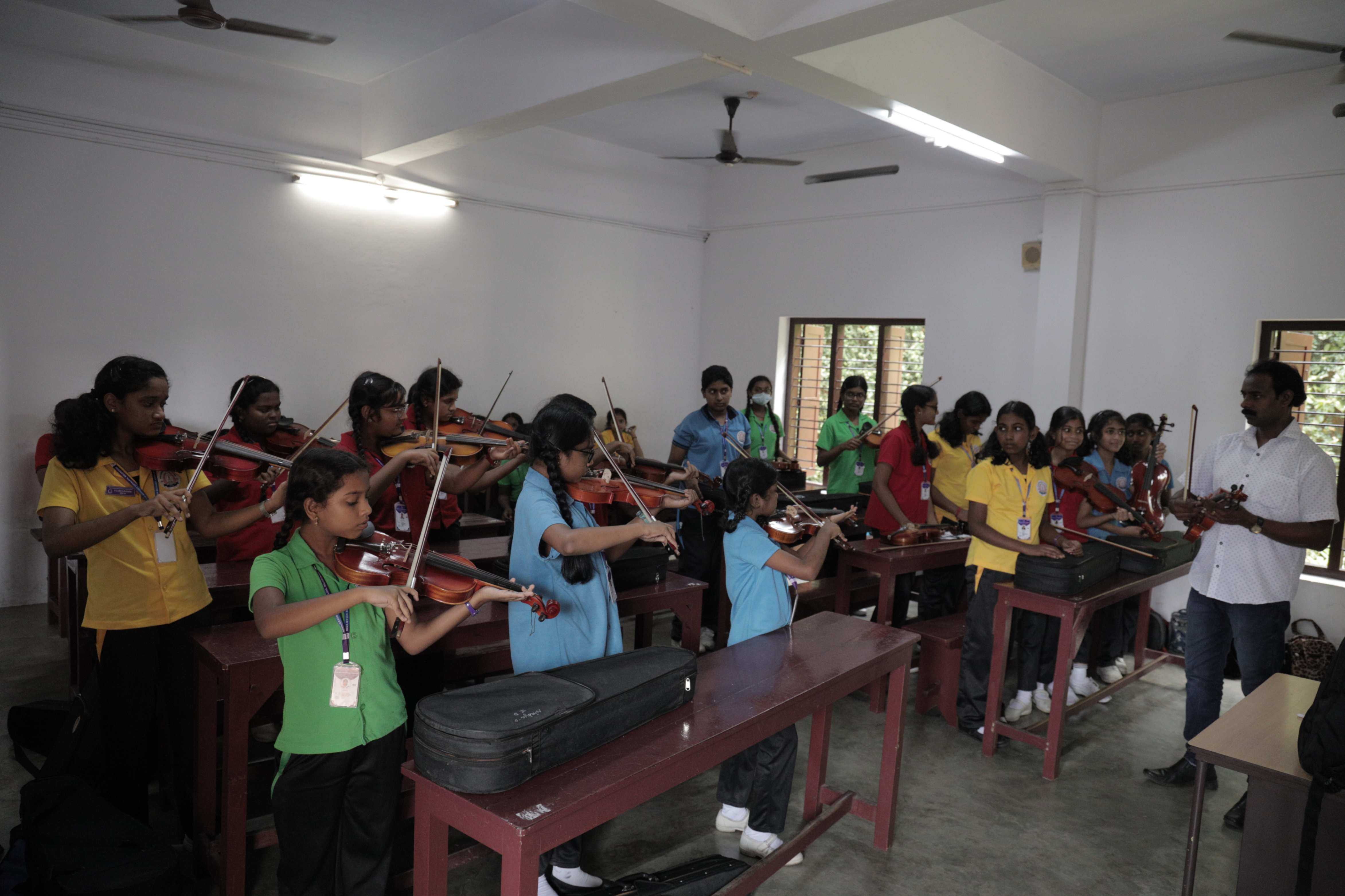 Violin
